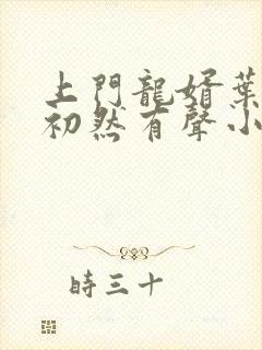 上门龙婿叶辰萧初然有声小说