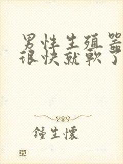 男性生殖器勃起很快就软了封面