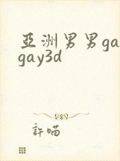 亚洲男男gaygay3d封面