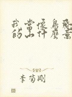 我当像鸟飞往你的山什么意思