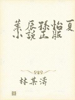 叶辰孙怡夏若雪小说正版