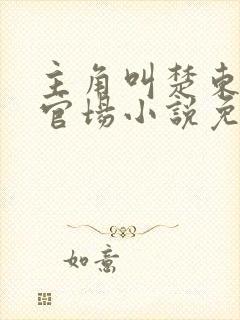 主角叫楚东恒的官场小说免费阅读