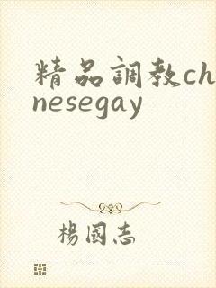 精品调教chinesegay封面