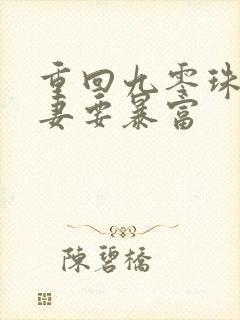 重回九零珠光宝妻要暴富