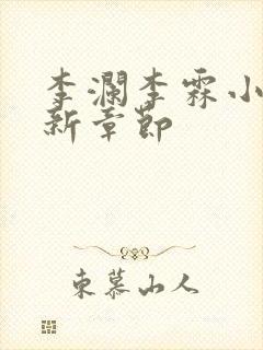 李澜李霖小说最新章节