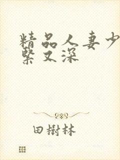 精品人妻少妇又紧又深