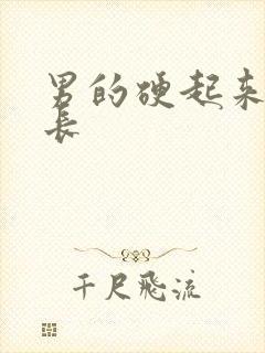 男的硬起来也不长封面