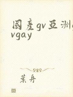 国产gv亚洲gvgay