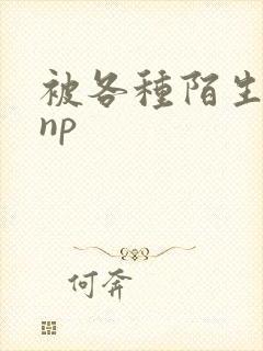 被各种陌生人 np