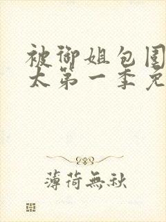 被御姐包围的正太第一季免费观看