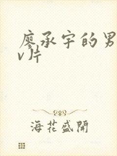 廖承宇的男男gv片封面