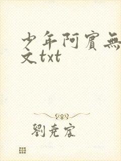 少年阿宾无删全文txt