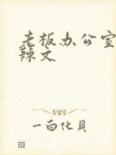 老板办公室系列辣文