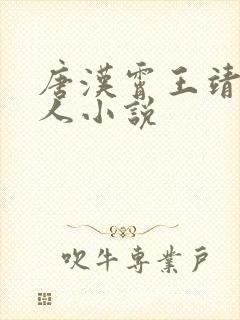 唐汉霄王靖雯同人小说封面