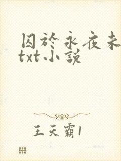 囚于永夜未删减txt小说封面