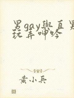男gay与直男玩弄呻吟