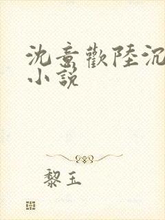 沈意欢陆沉舟的小说