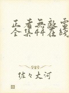 正者无敌电视剧全集44在线观看