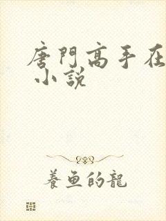 唐门高手在异世 小说