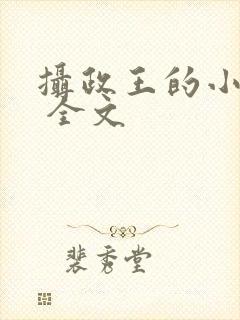 摄政王的小闲妻 全文