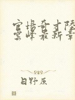 官场奇才陆羽刘云峰最新章节封面