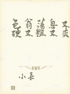 色翁荡息又大又硬又粗又爽小莹封面