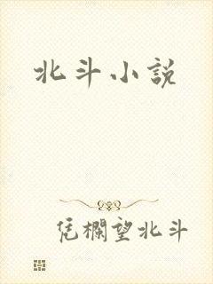 北斗小说