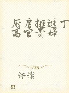 厨房挺进丁字裤高官贵妇