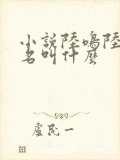 小说陆鸣陆瑶书名叫什么