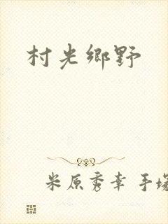 村光乡野封面