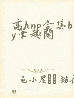 高hnp合集by笔趣阁