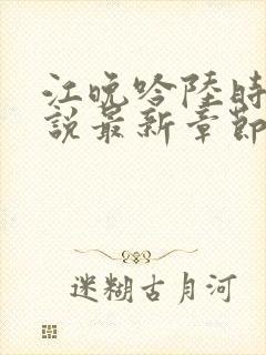 江晚吟陆时今小说最新章节更新时间封面