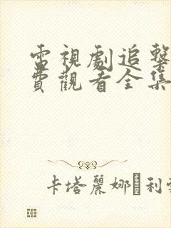 电视剧追击者免费观看全集完整版高清封面