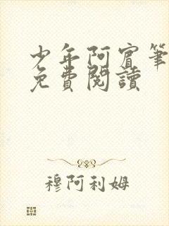 少年阿宾笔趣阁免费阅读