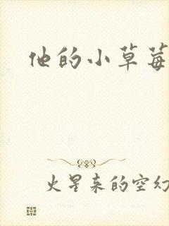 他的小草莓