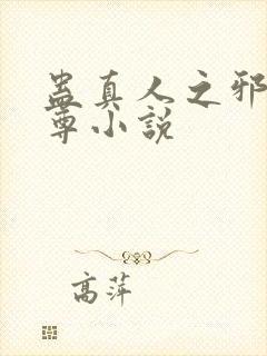 蛊真人之邪银魔尊小说封面