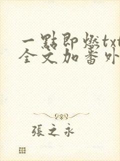 一点即燃txt全文加番外