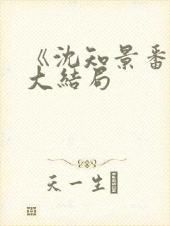 《沈知景番外》大结局