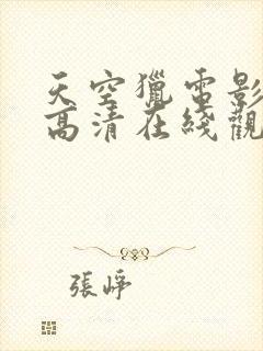 天空猎电影免费高清在线观看封面