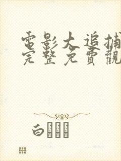 电影大追捕在线完整免费观看国语