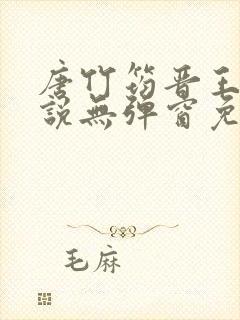 唐竹筠晋王的小说无弹窗免费阅读