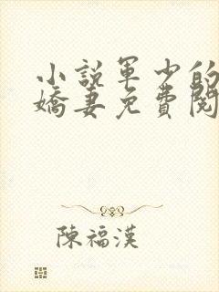 小说军少的律政娇妻免费阅读全文