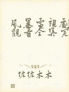 风暴电视剧免费观看全集完整版封面