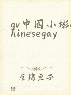 gv中国小彬chinesegay封面