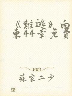 《难逃》向晴霍东44章免费阅读