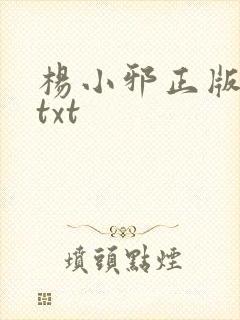 杨小邪正版全本txt