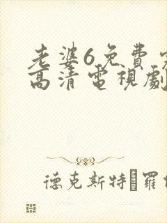 老婆6免费完整高清电视剧看