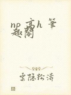 np 高h 笔趣阁