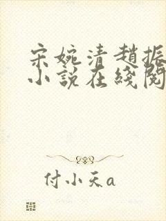 宋婉清赵振国的小说在线阅读