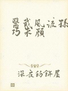 医武风流孙哲叶巧朱颜